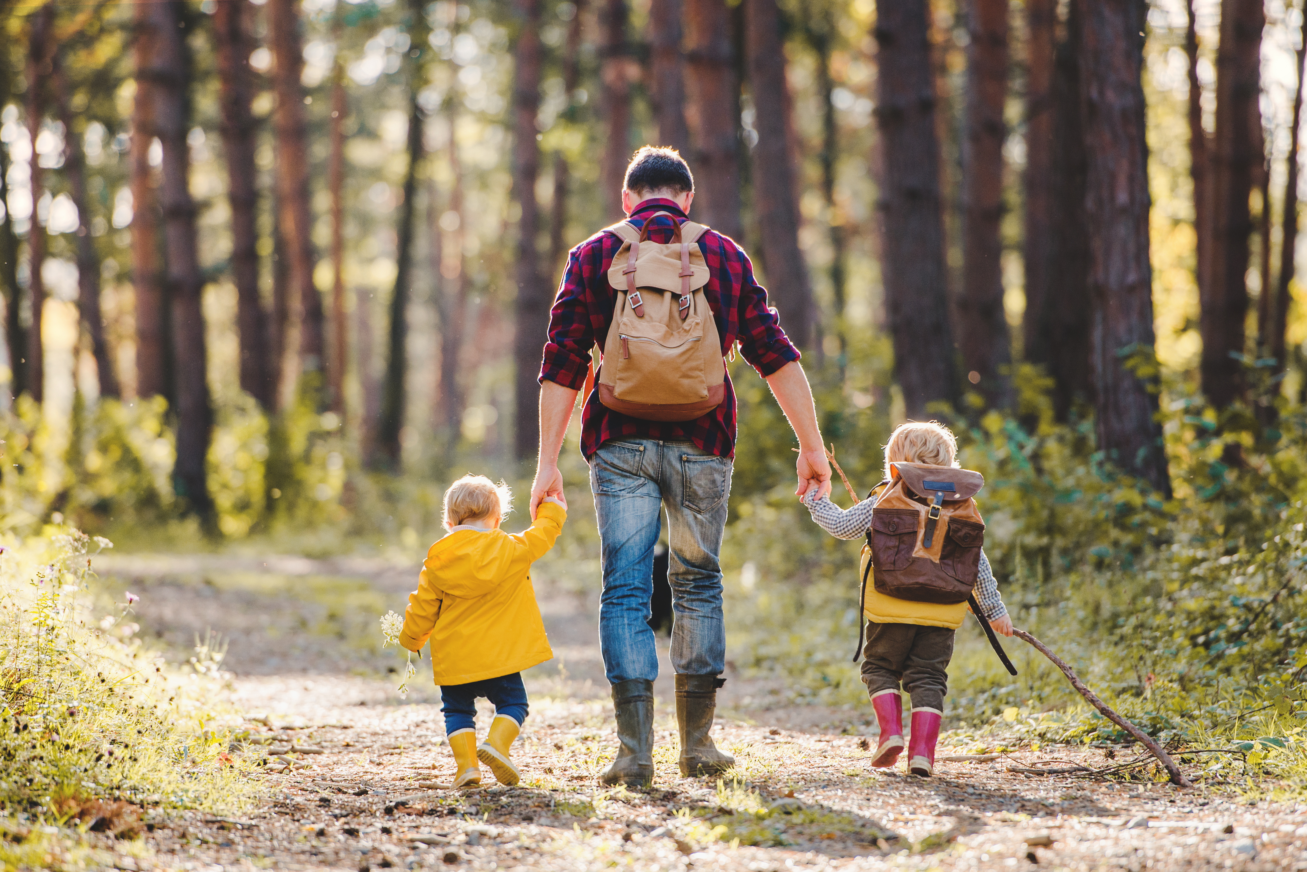 Father and two children walking in a forest path, holding hands.