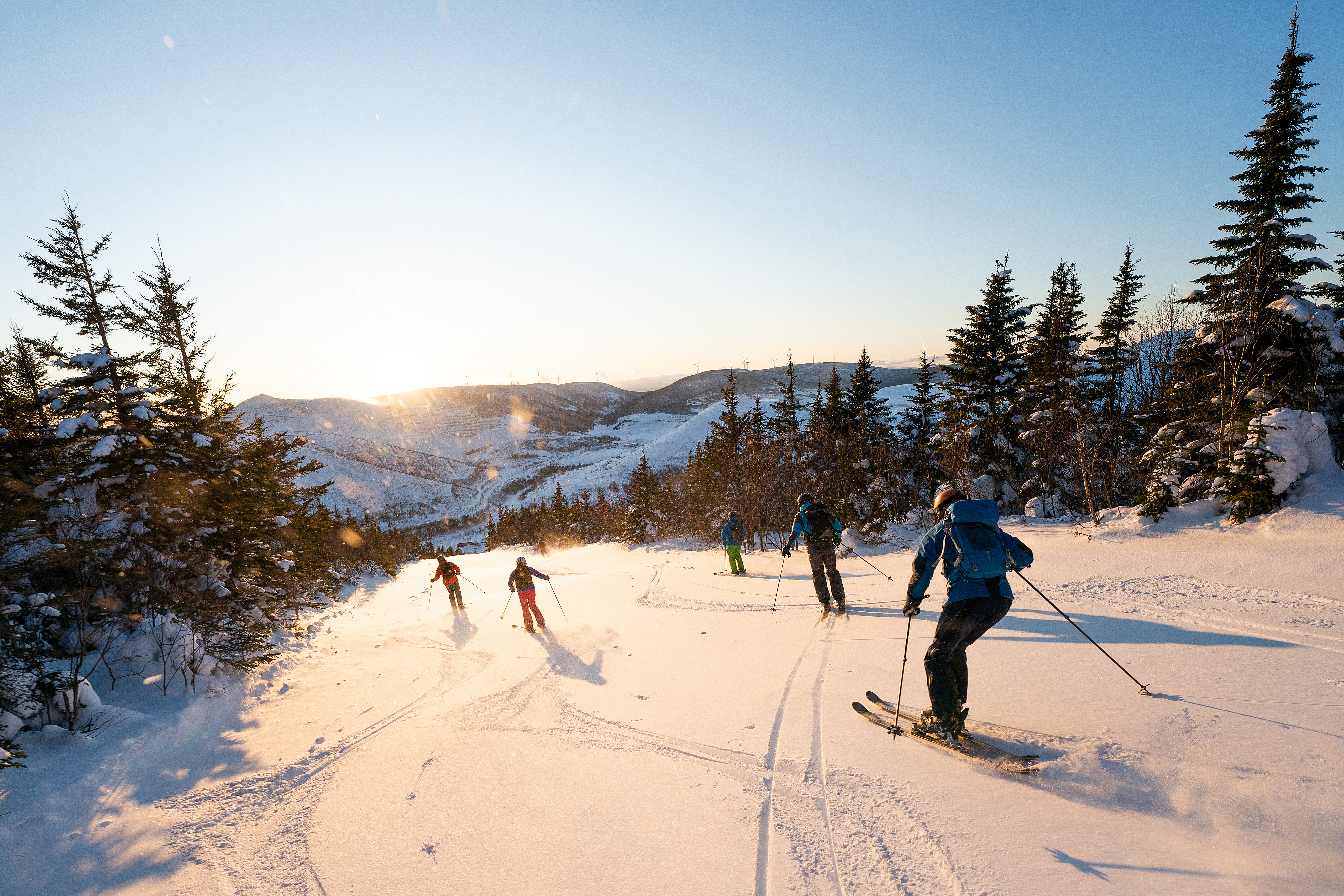 Skiers on a snowy mountain slope at sunset, surrounded by pine trees.