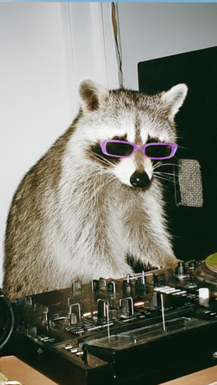 Raccoon wearing sunglasses, DJing at a turntable.