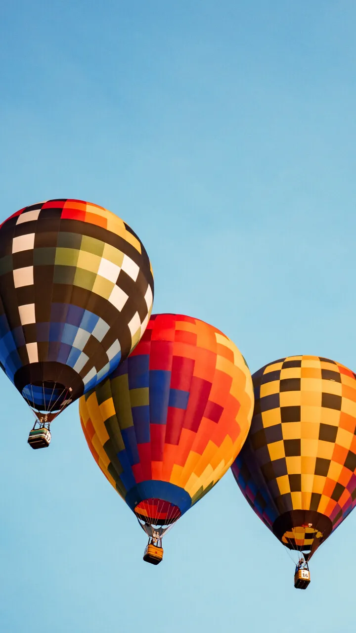 hot air balloons flying in sky