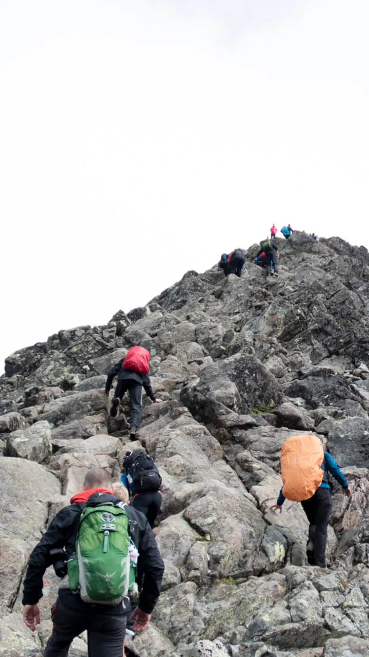 group of people hiking up a mountain