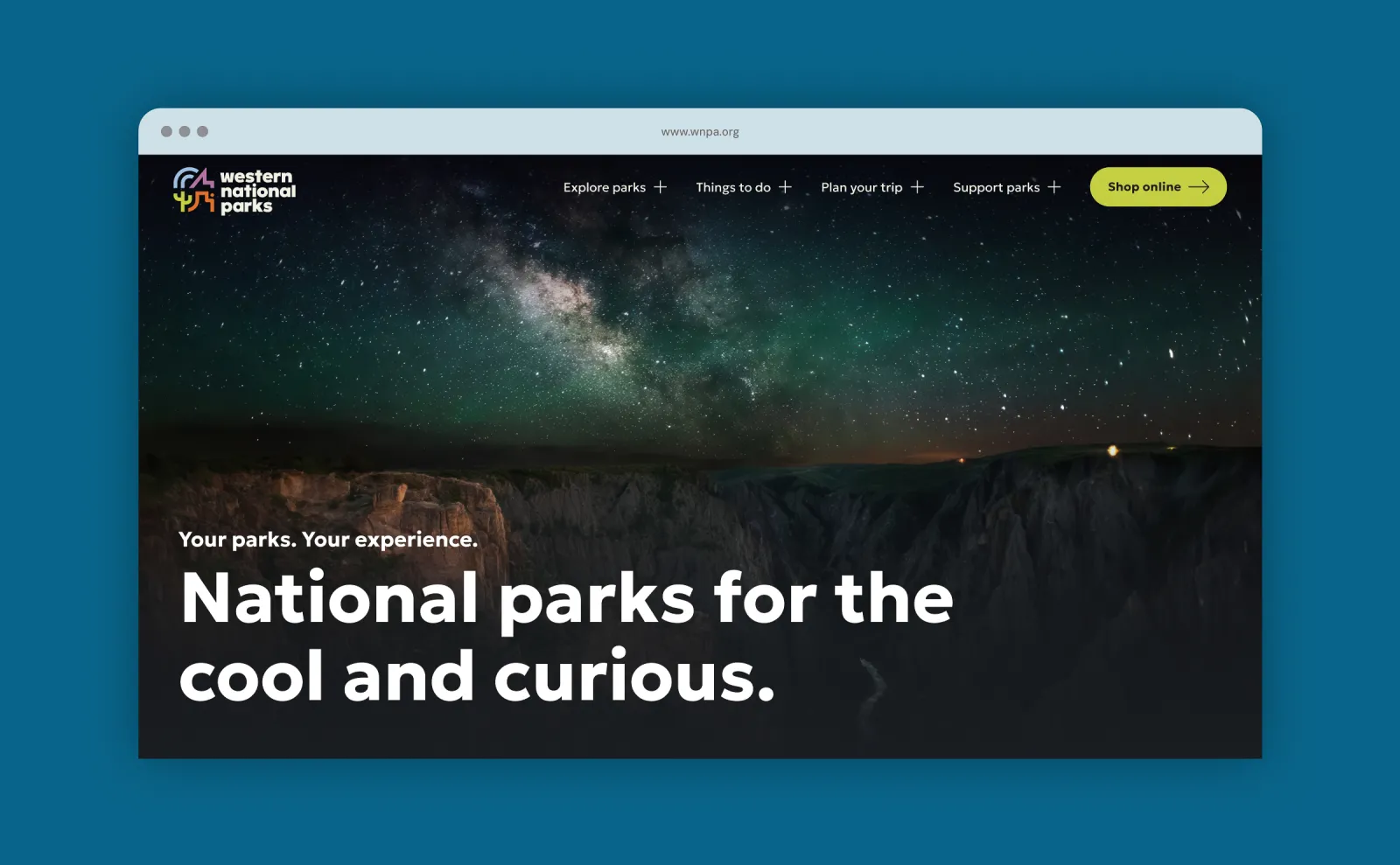 Website homepage with night sky over canyon.