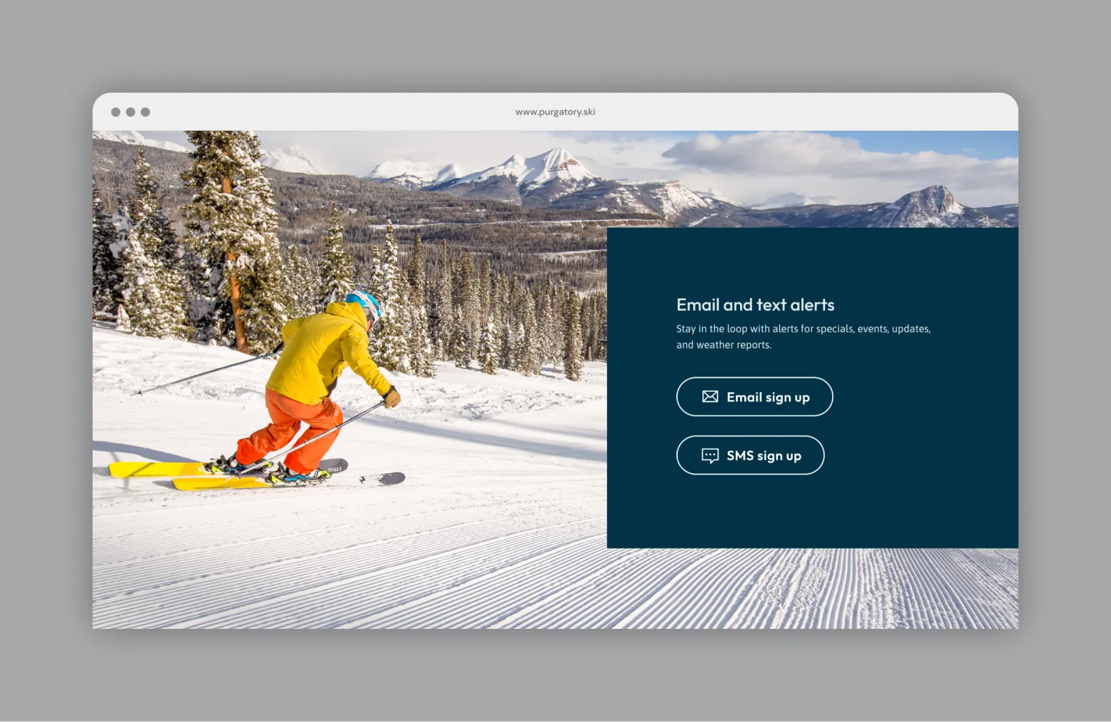 email signup