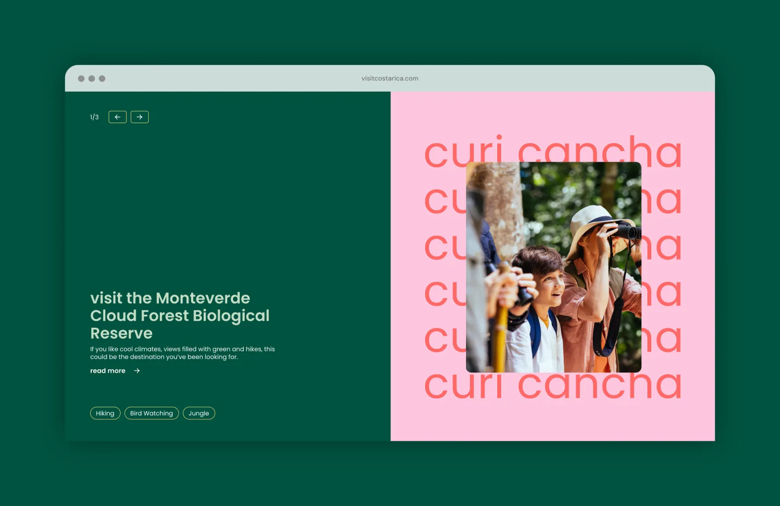 Mockup showing bright colours and typography as design