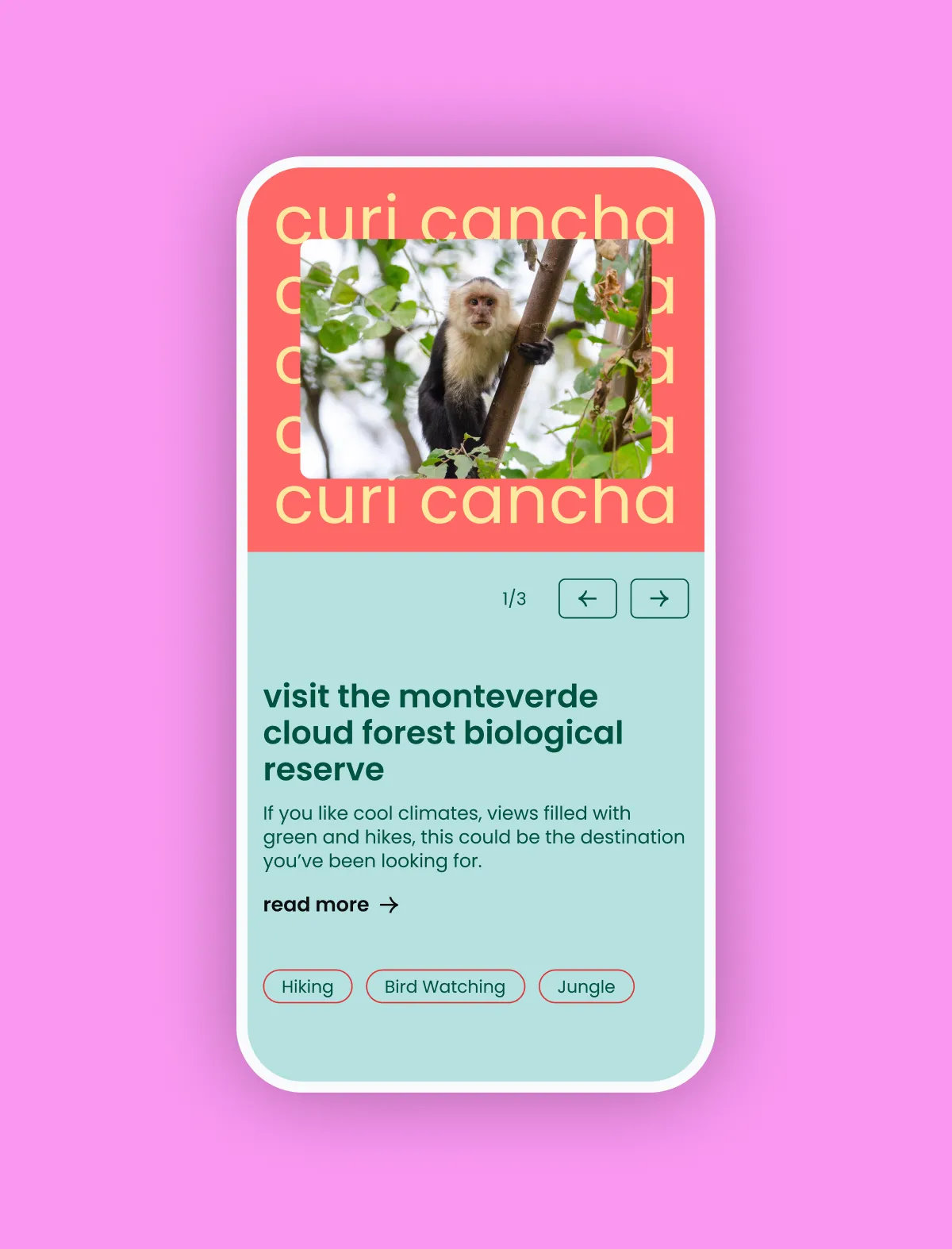 Mobile mockup showing bright colours and typography as design