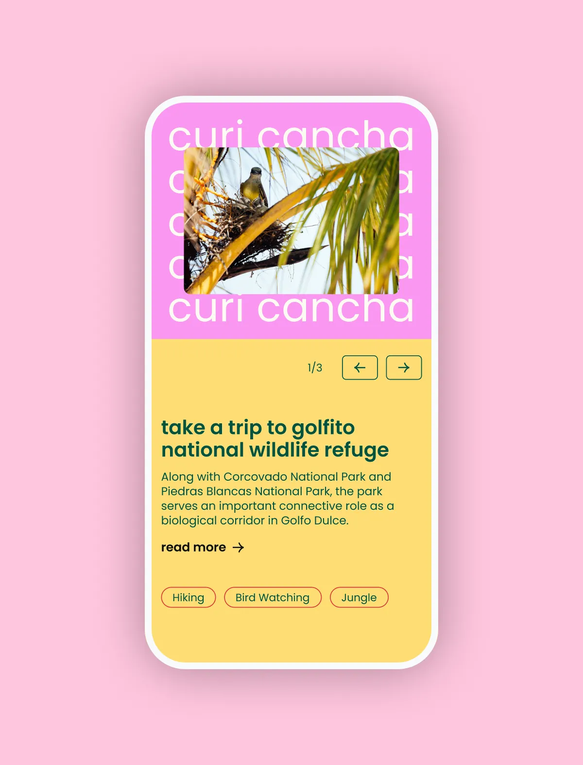 Mobile mockup showing bright colours and typography as design