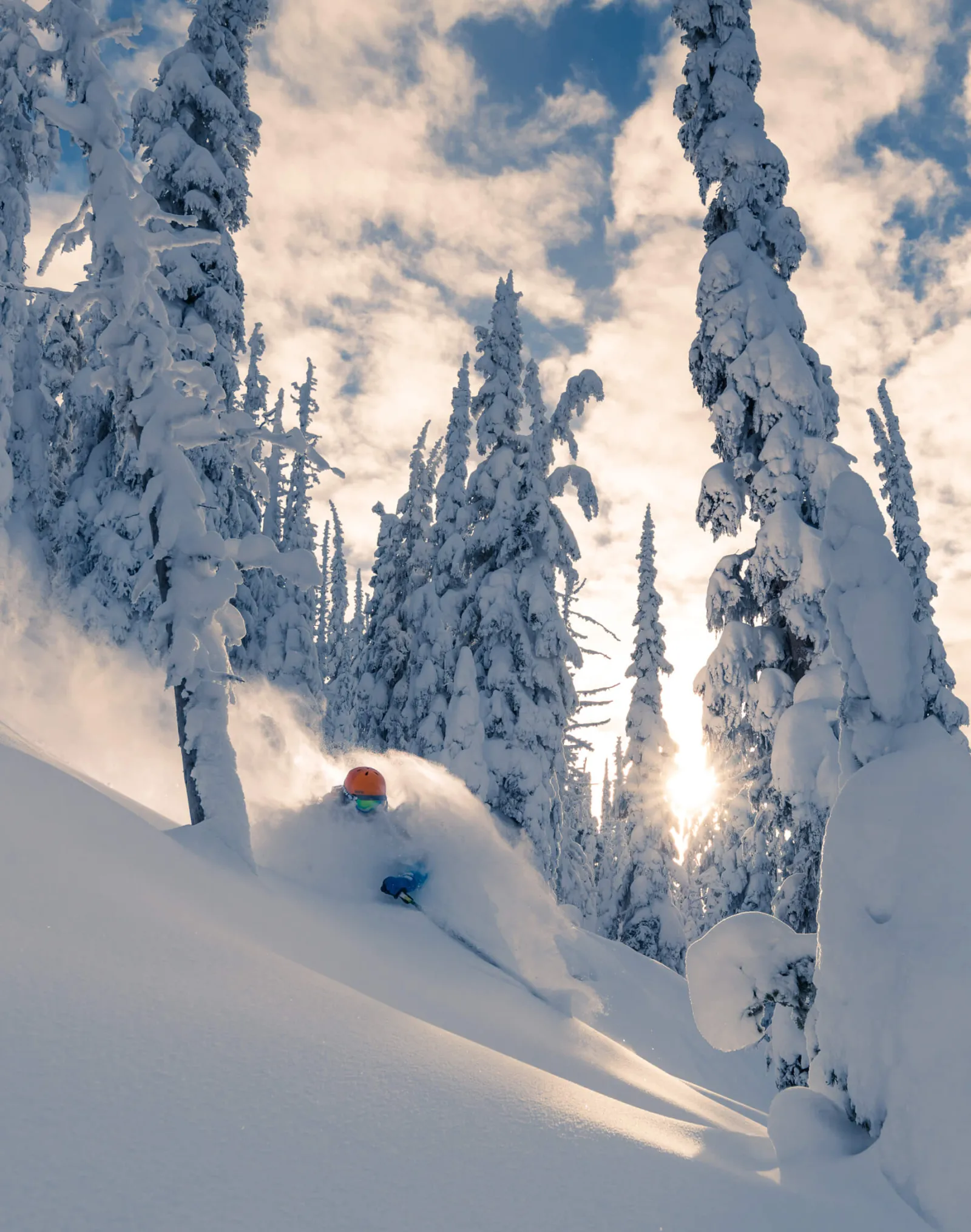 Skier skiing deep powder