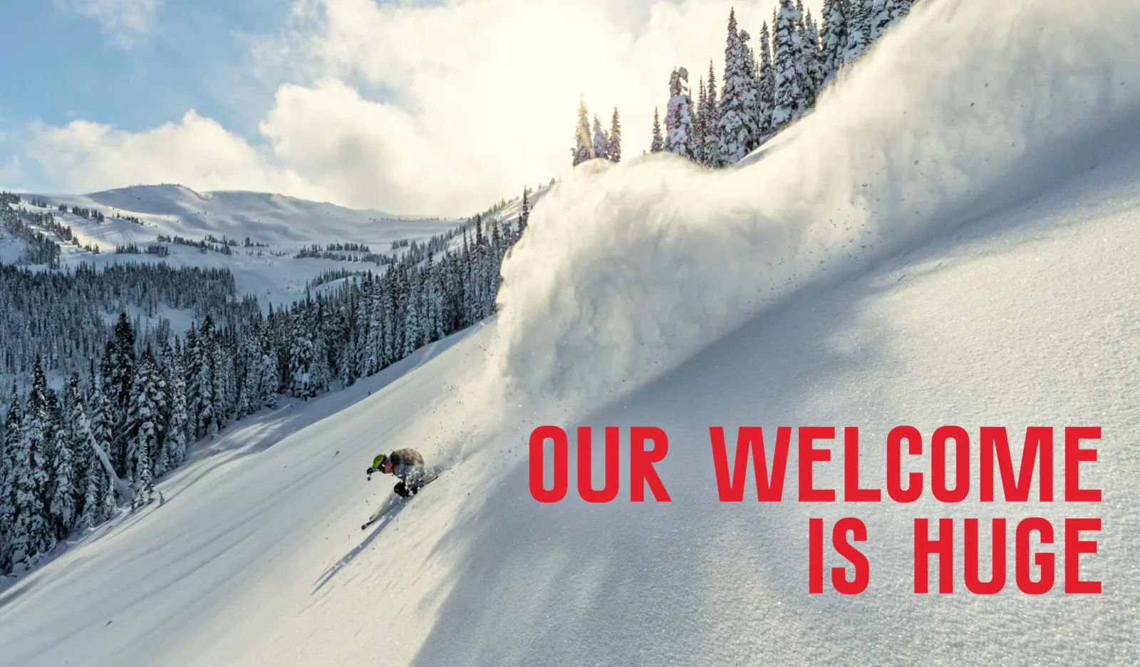 Skier skiing deep powder