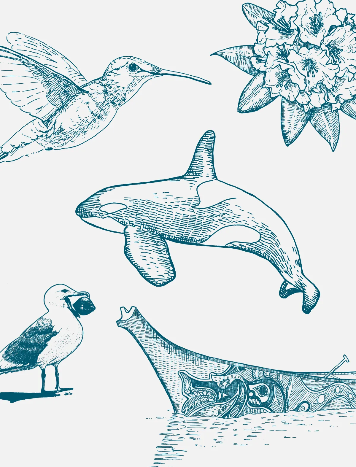Spot illustrations of BC flora and fauna