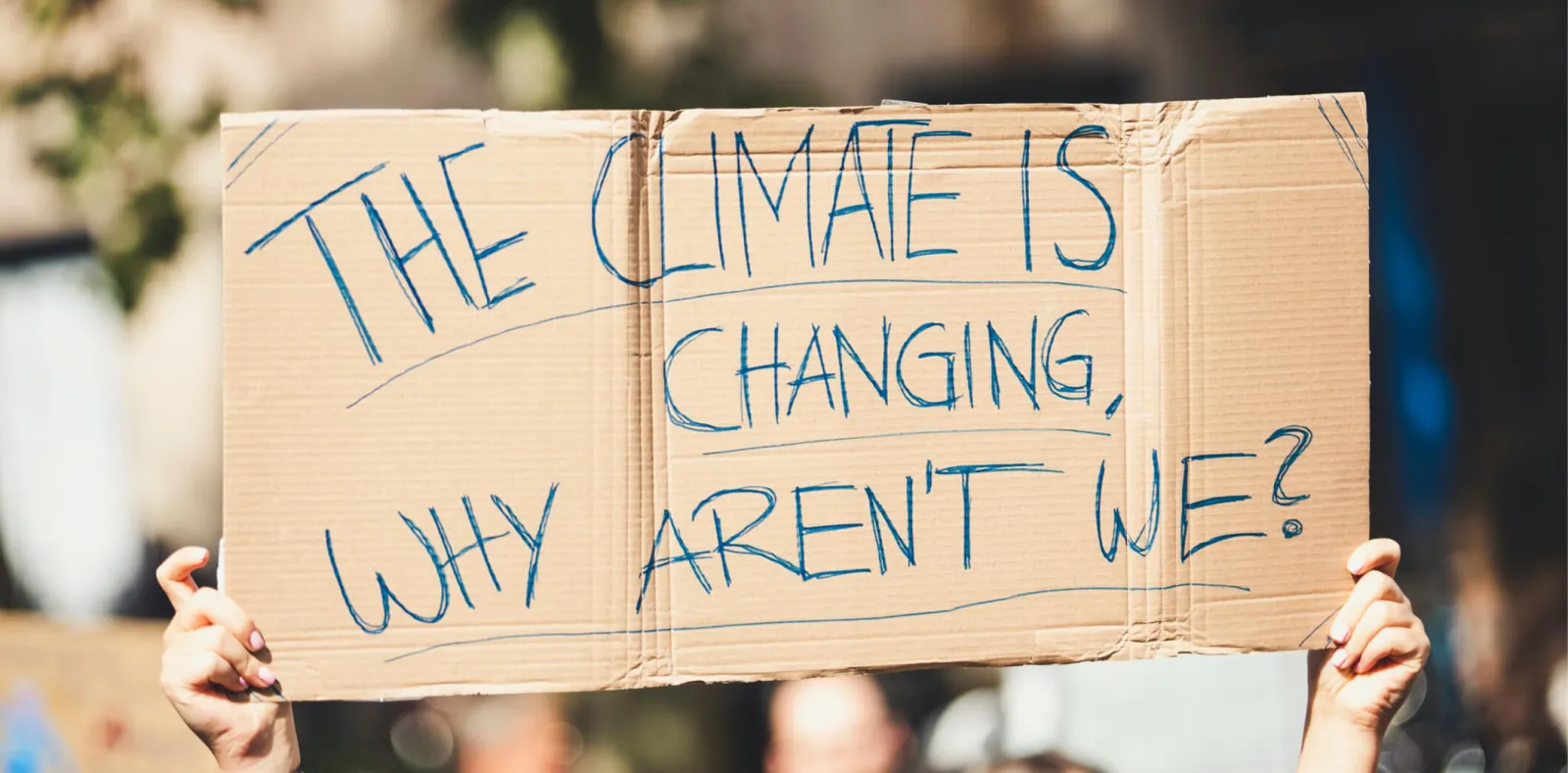 Climate change protest sign