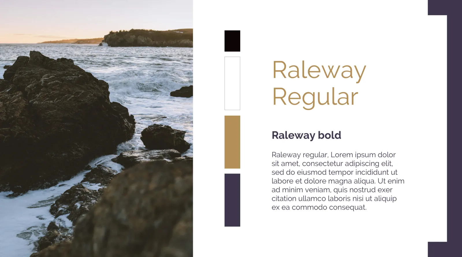 Brand colours and fonts