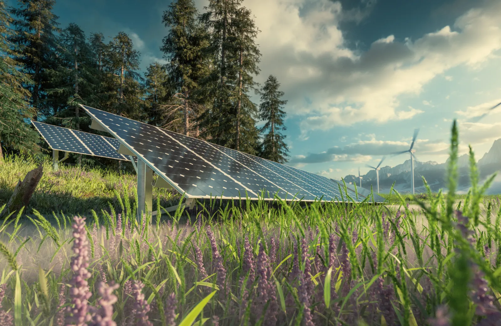 solar panels and windmills in nature