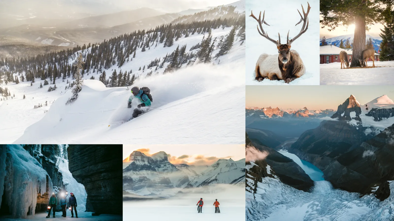A photography moodboard for Tourism Jasper