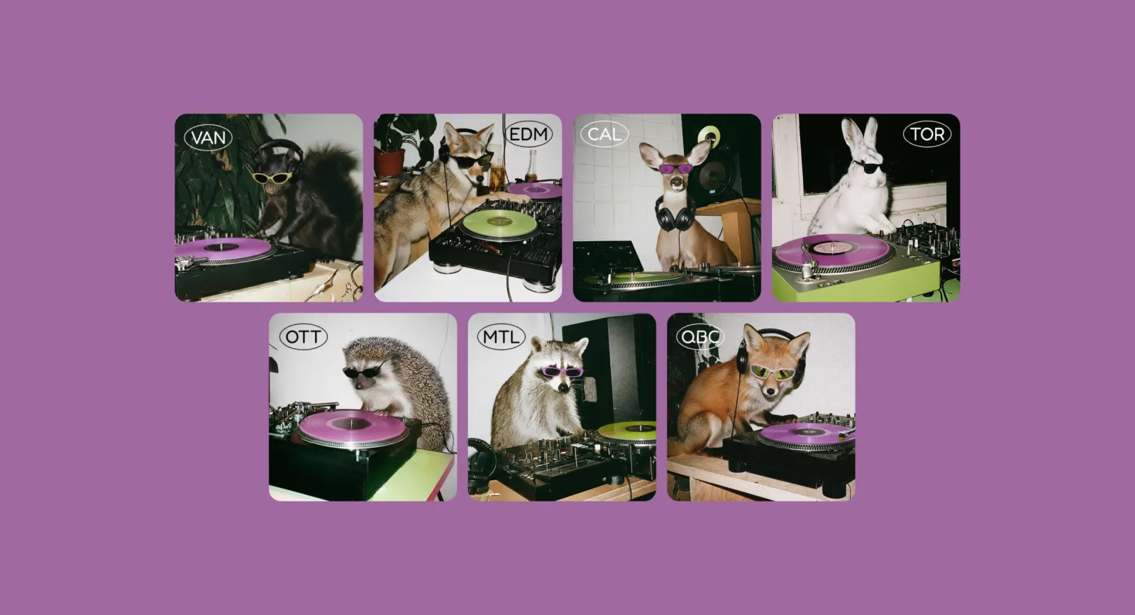Animals DJing with colorful turntables on a purple background.