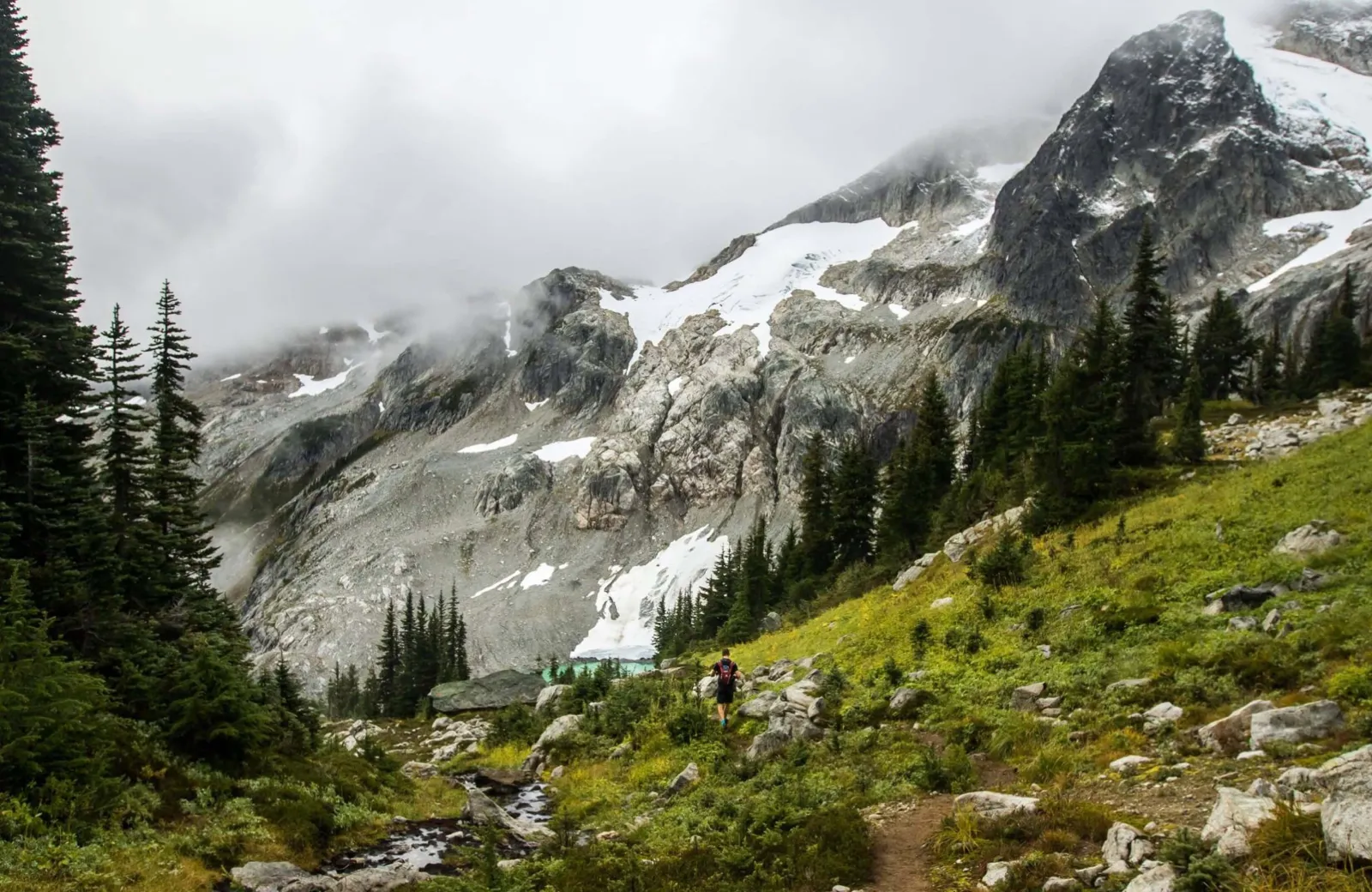 Grassy mountain meadow in the fog