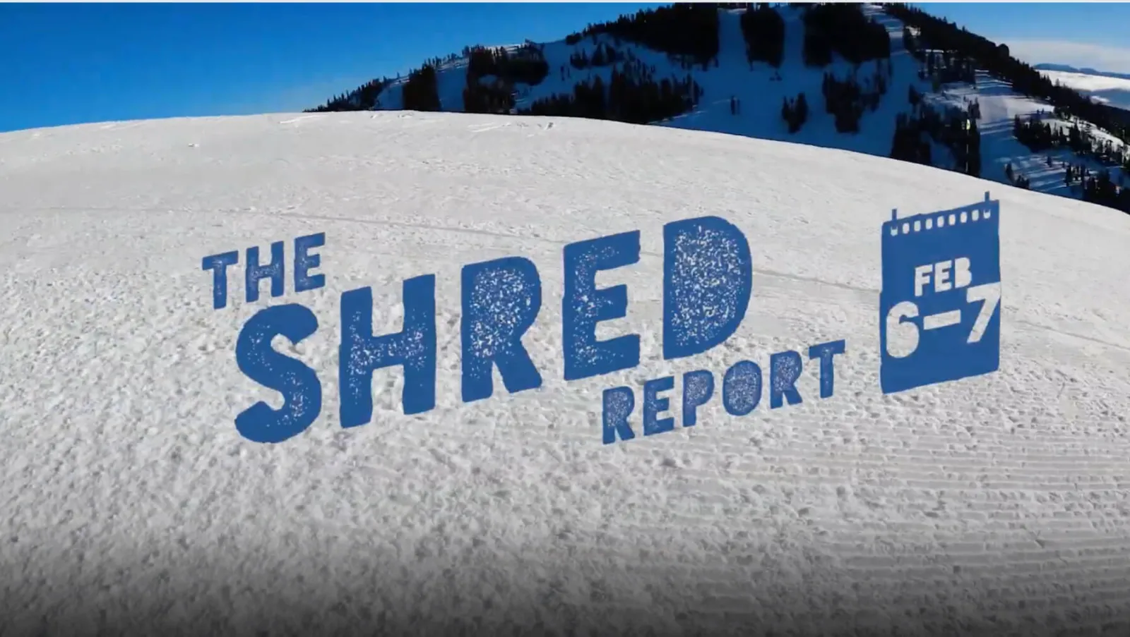 The Shred Report Video