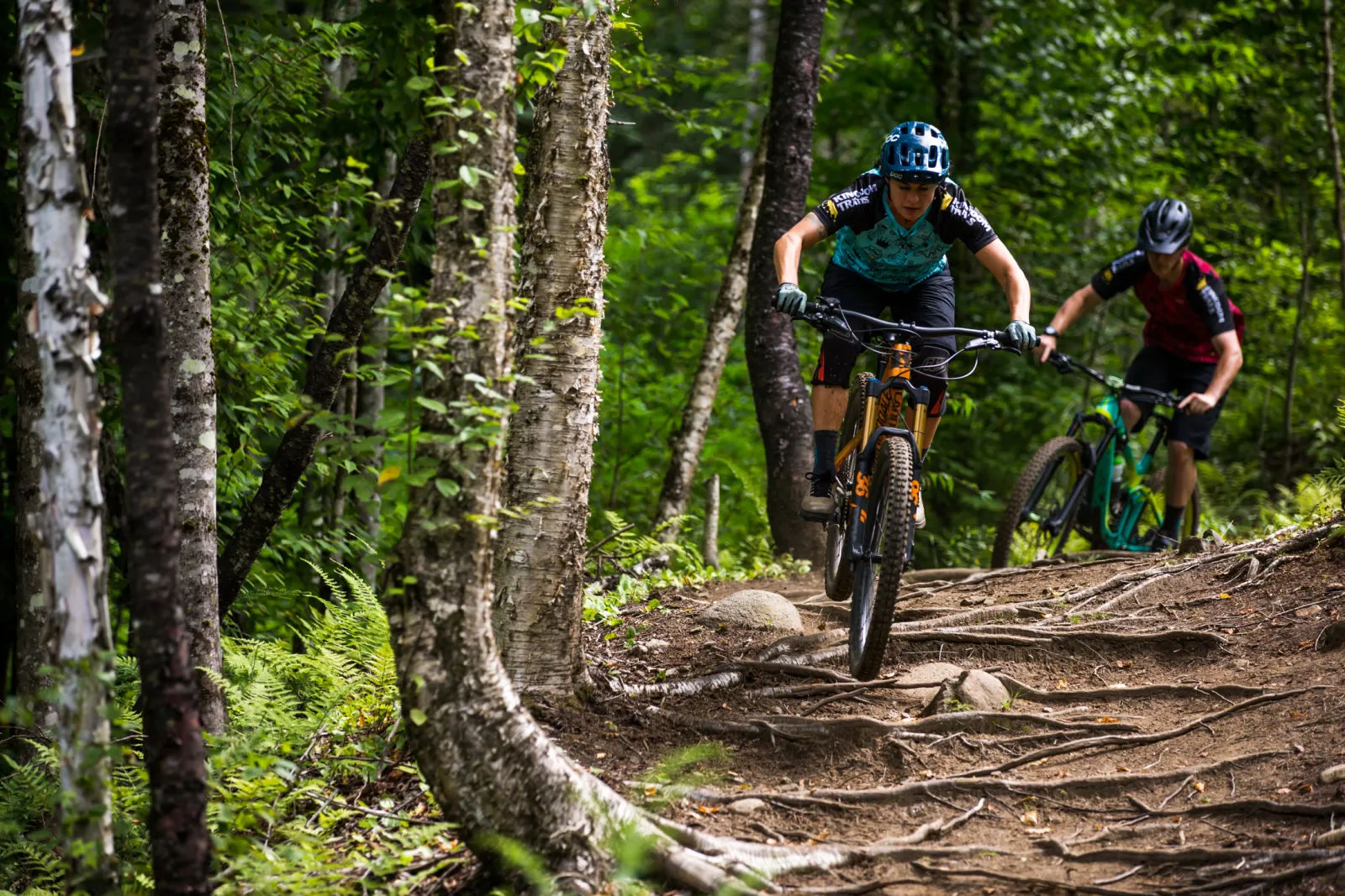 Kingdom trails riders in the woods