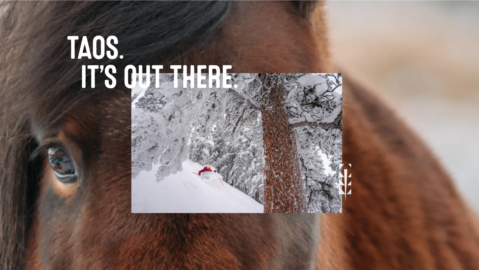 Brand tagline reading "Taos. It's out there." atop an image of a skier and a horse