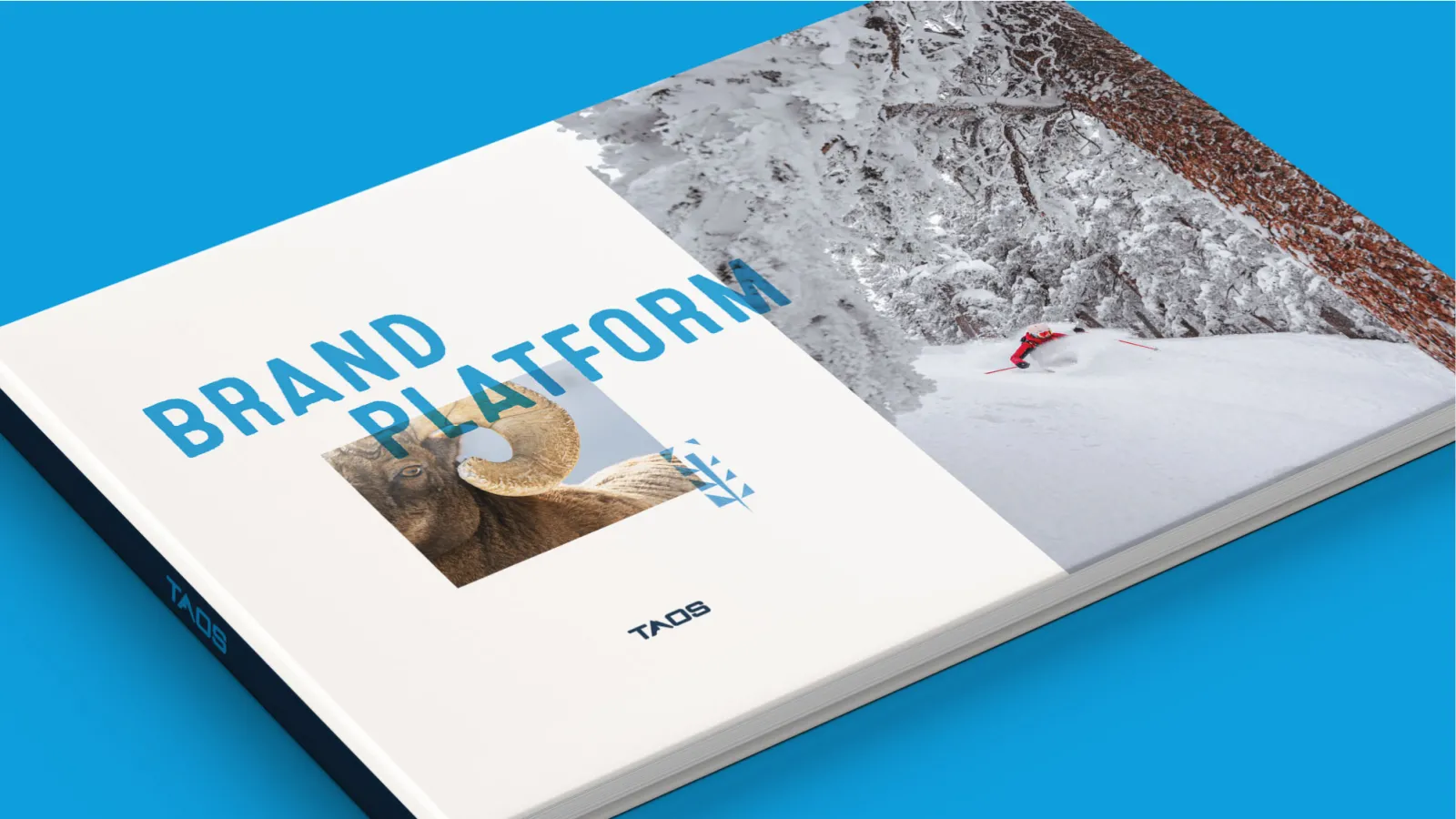 Image of the Taos brand platform
