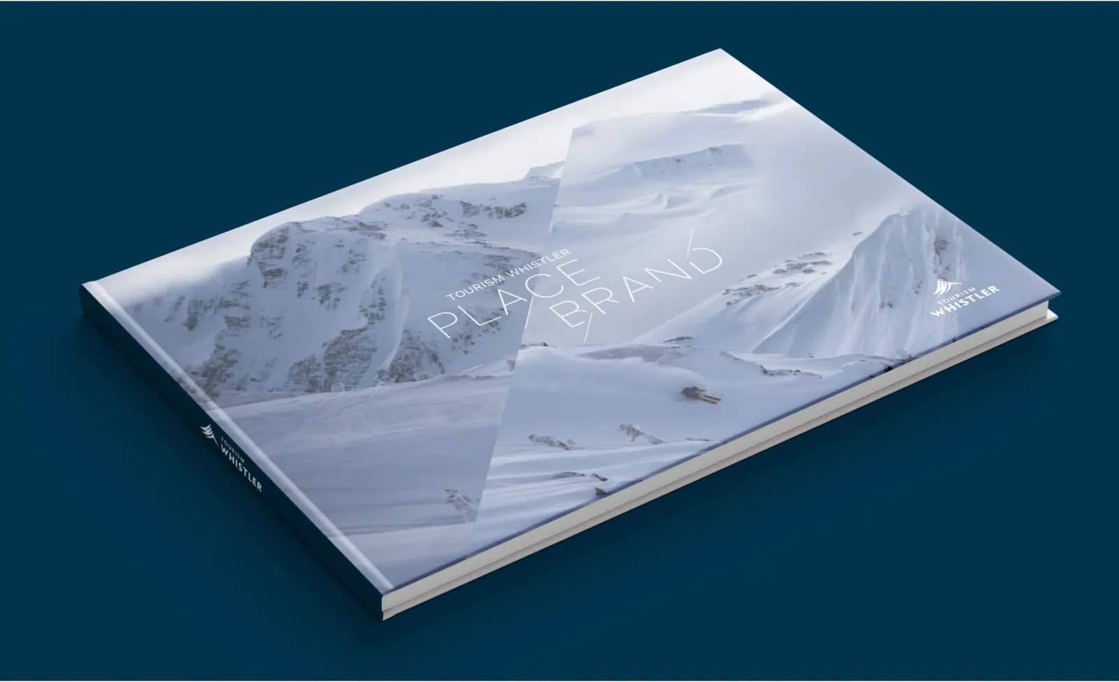 Brand platform book mockup