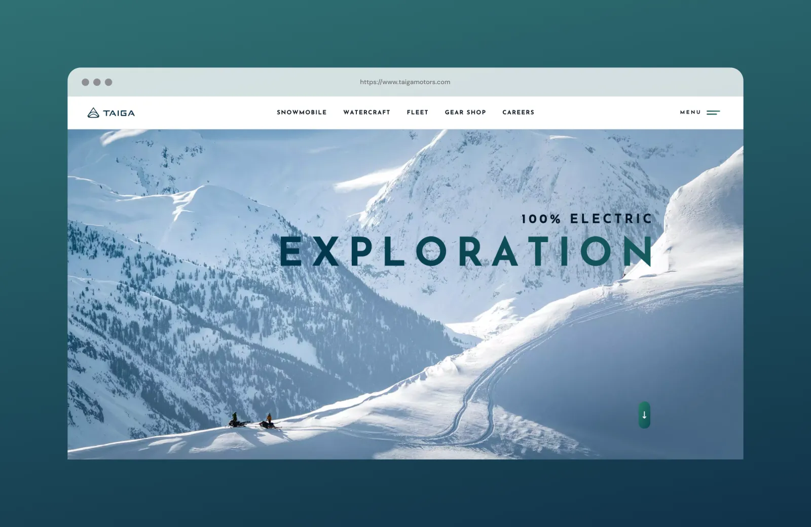 Taiga website desktop mockup