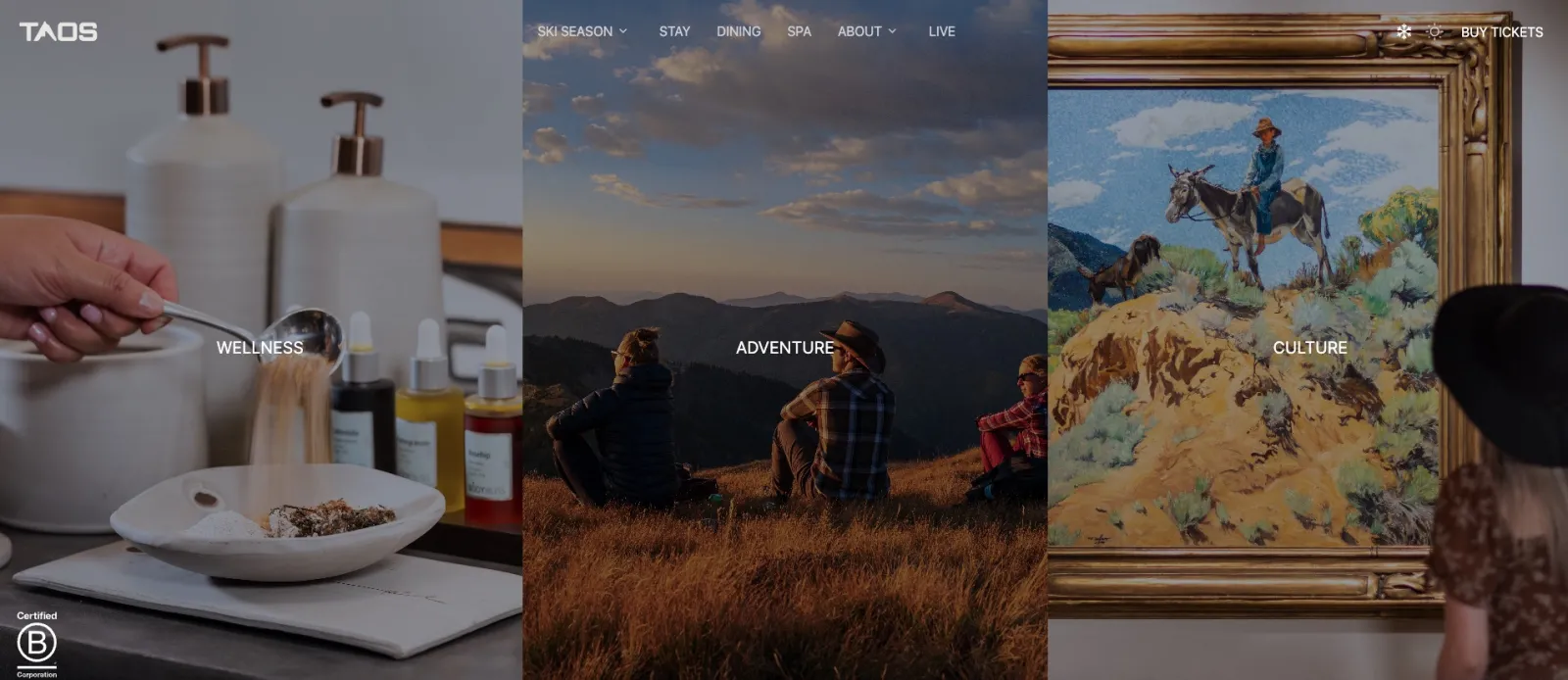 View of Taos Website