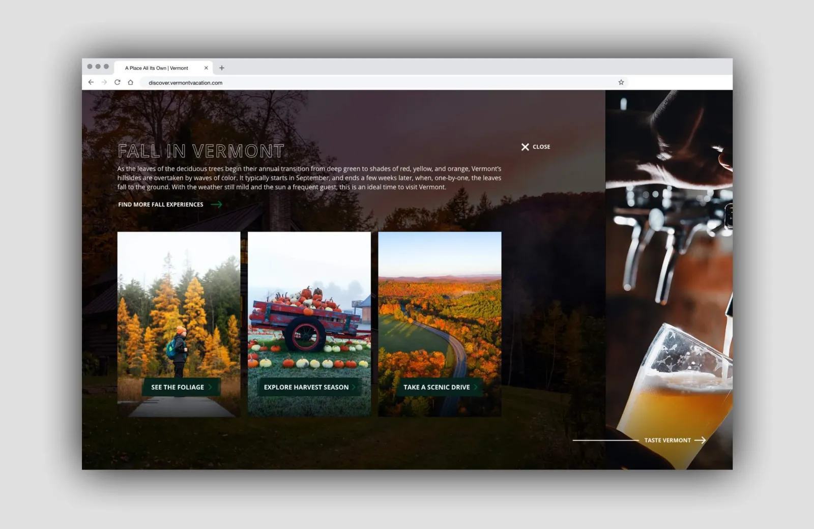 Website desktop mockup