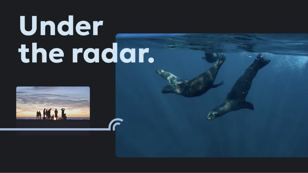 "under the radar" text with whales