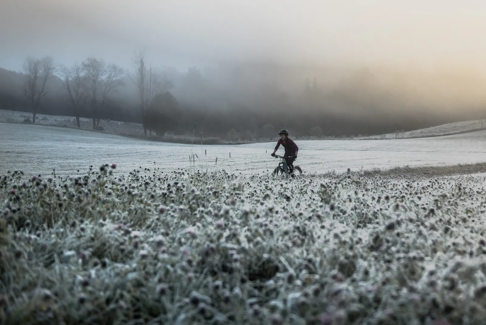 Kingdom Trails Frost