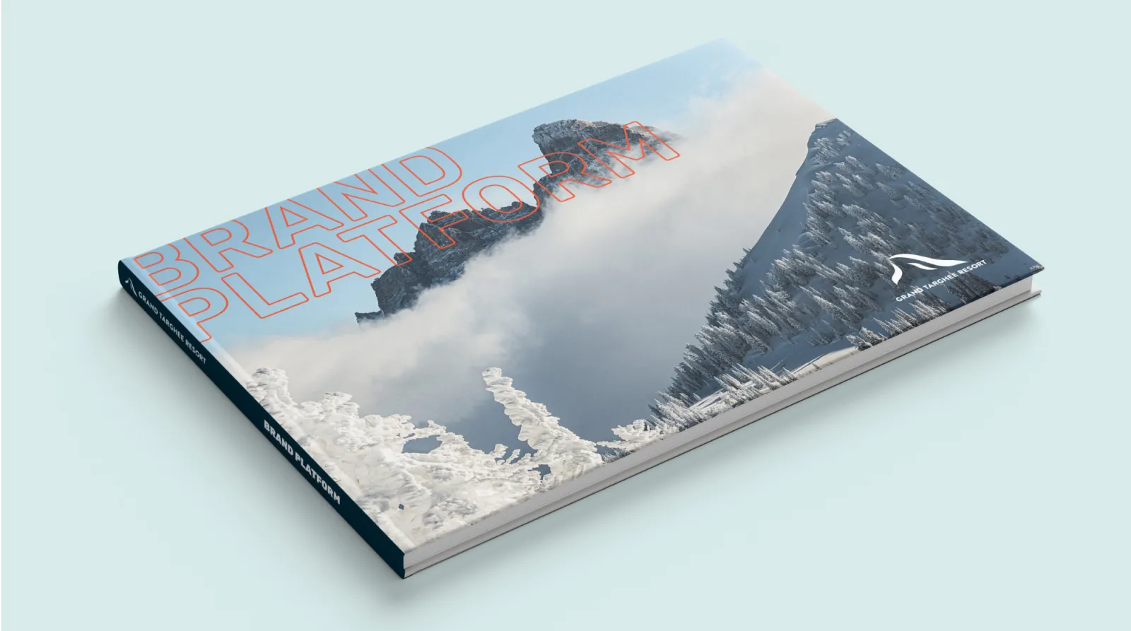 A brand platform book