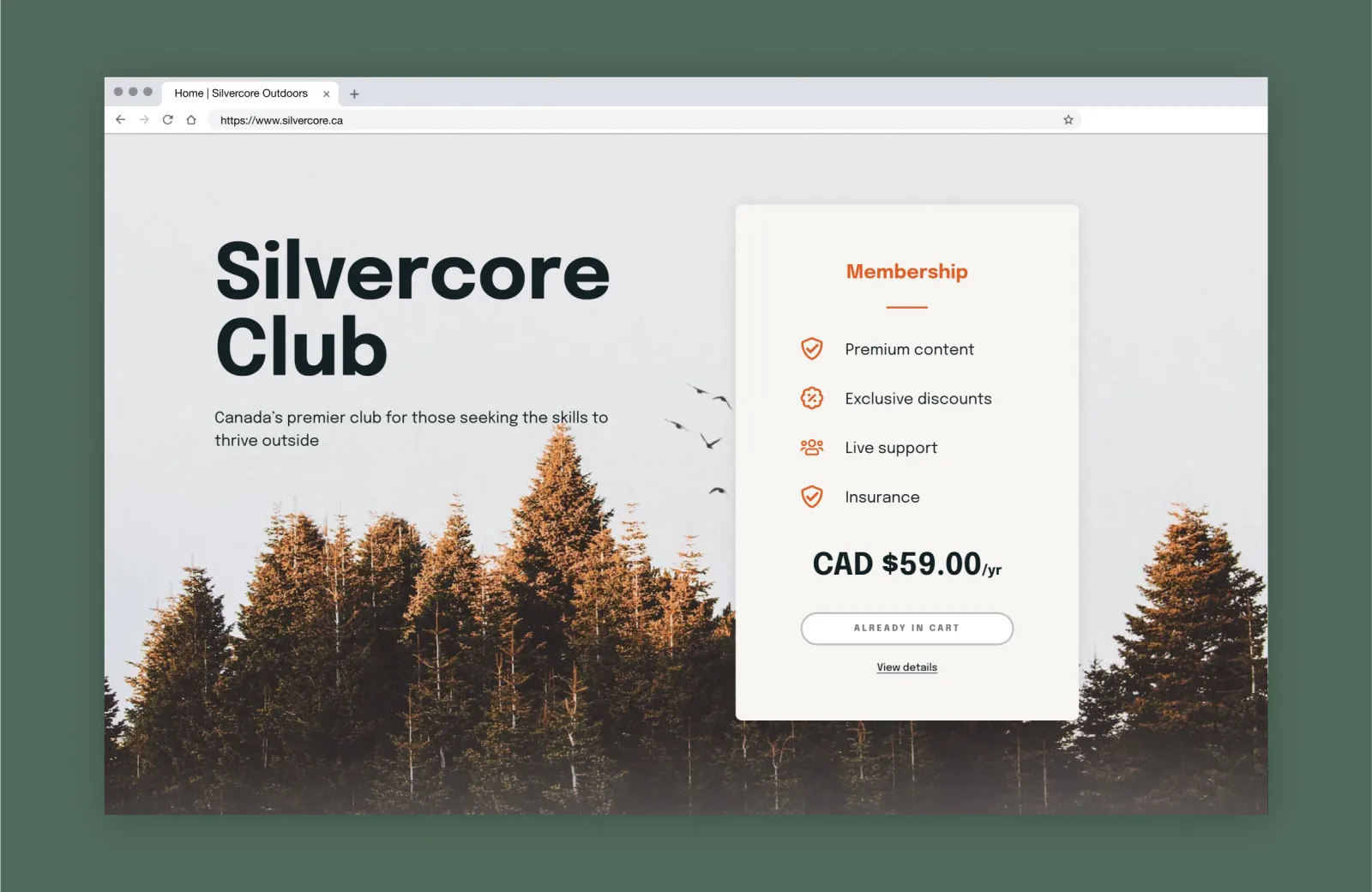 A desktop mockup of the Silvercore website