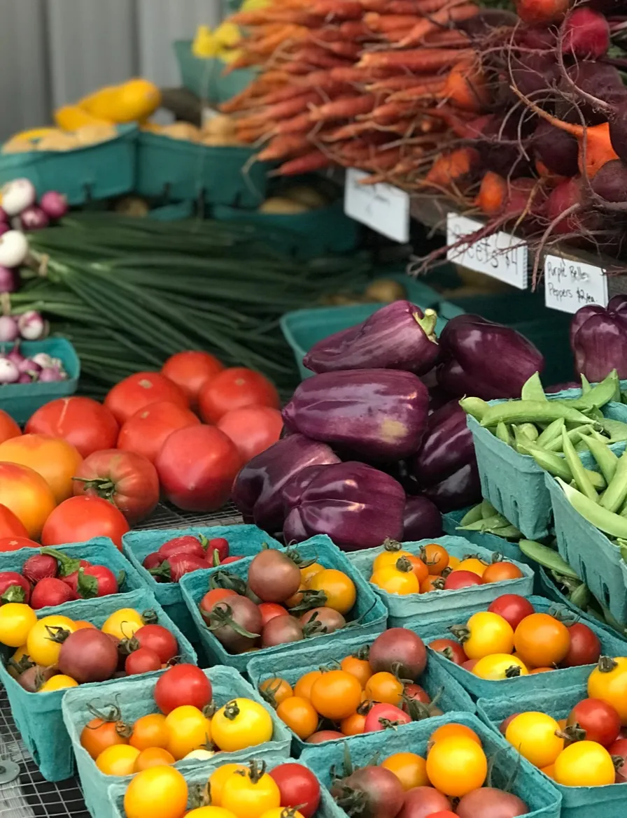 Chris Rubens prosperous farm