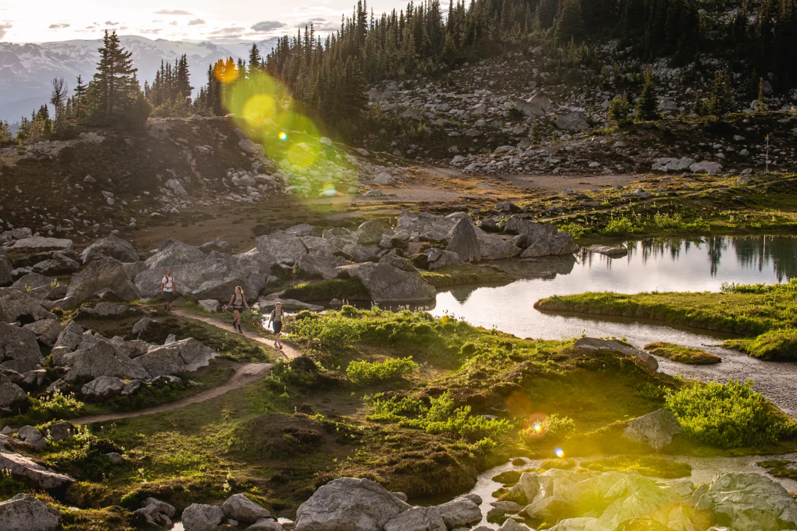Couple hiking in whistler alpine