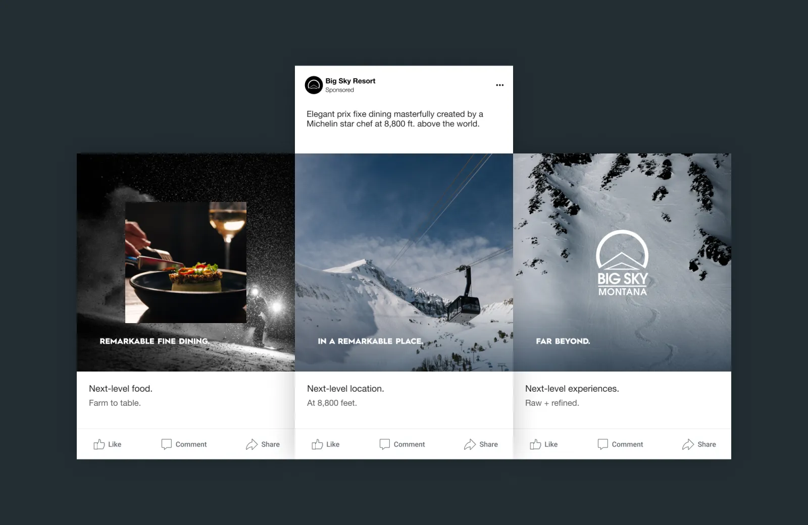 Restaurant dish, skier in snow, and mountain resort logo.