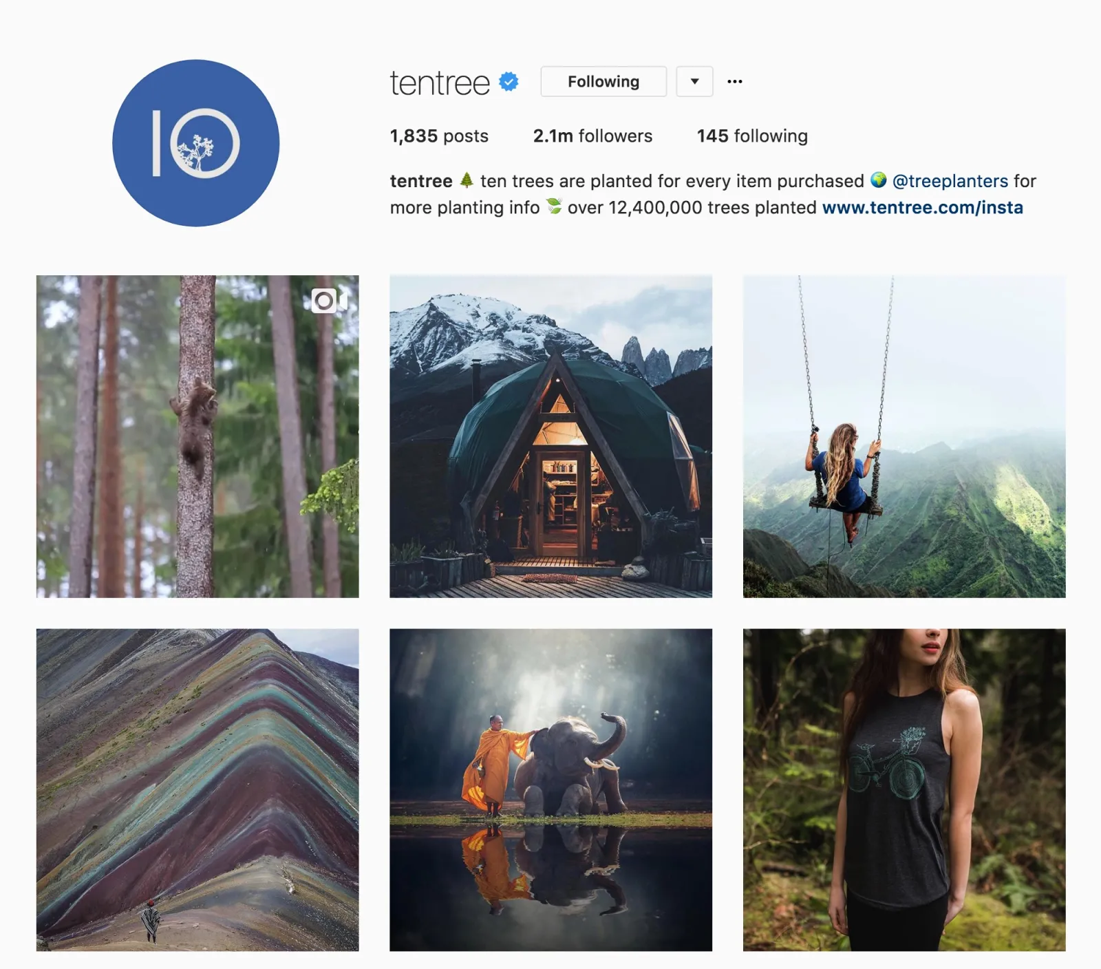 Ten Tree Instagram 2016