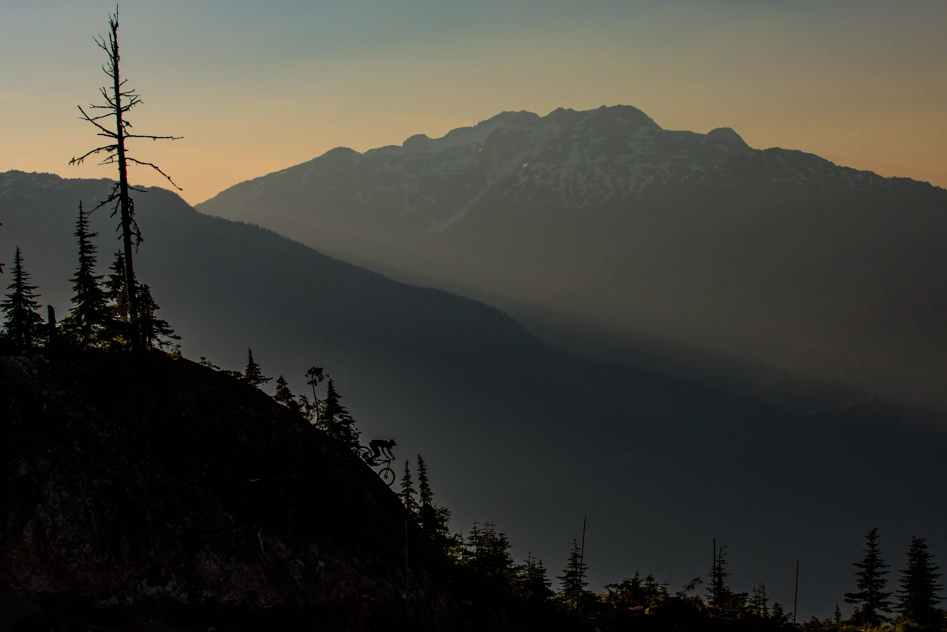 Origin Mountain Biking