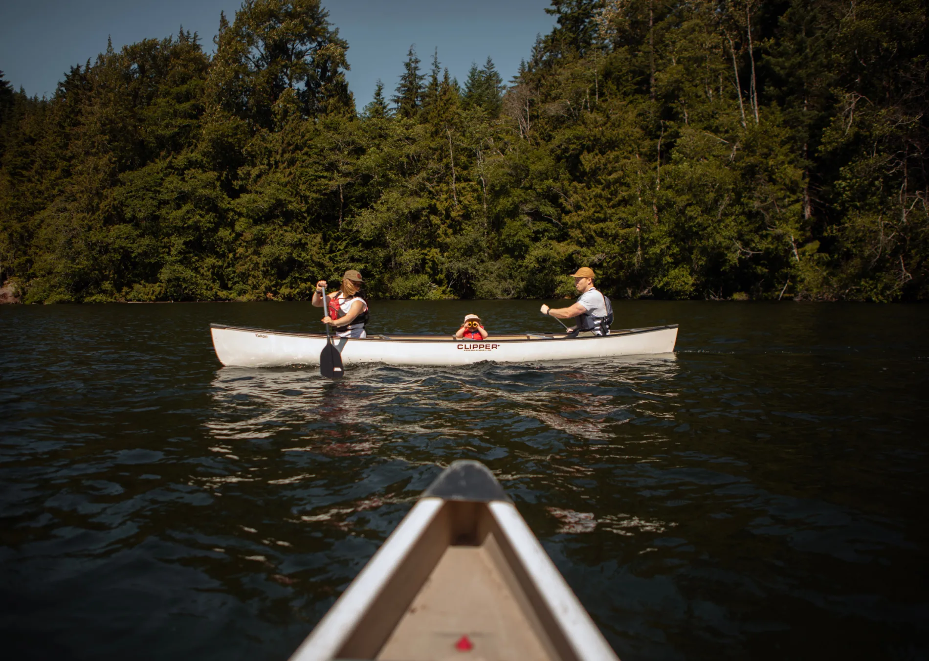 Two canoes on a lake, surrounded by lush trees on a clear day.