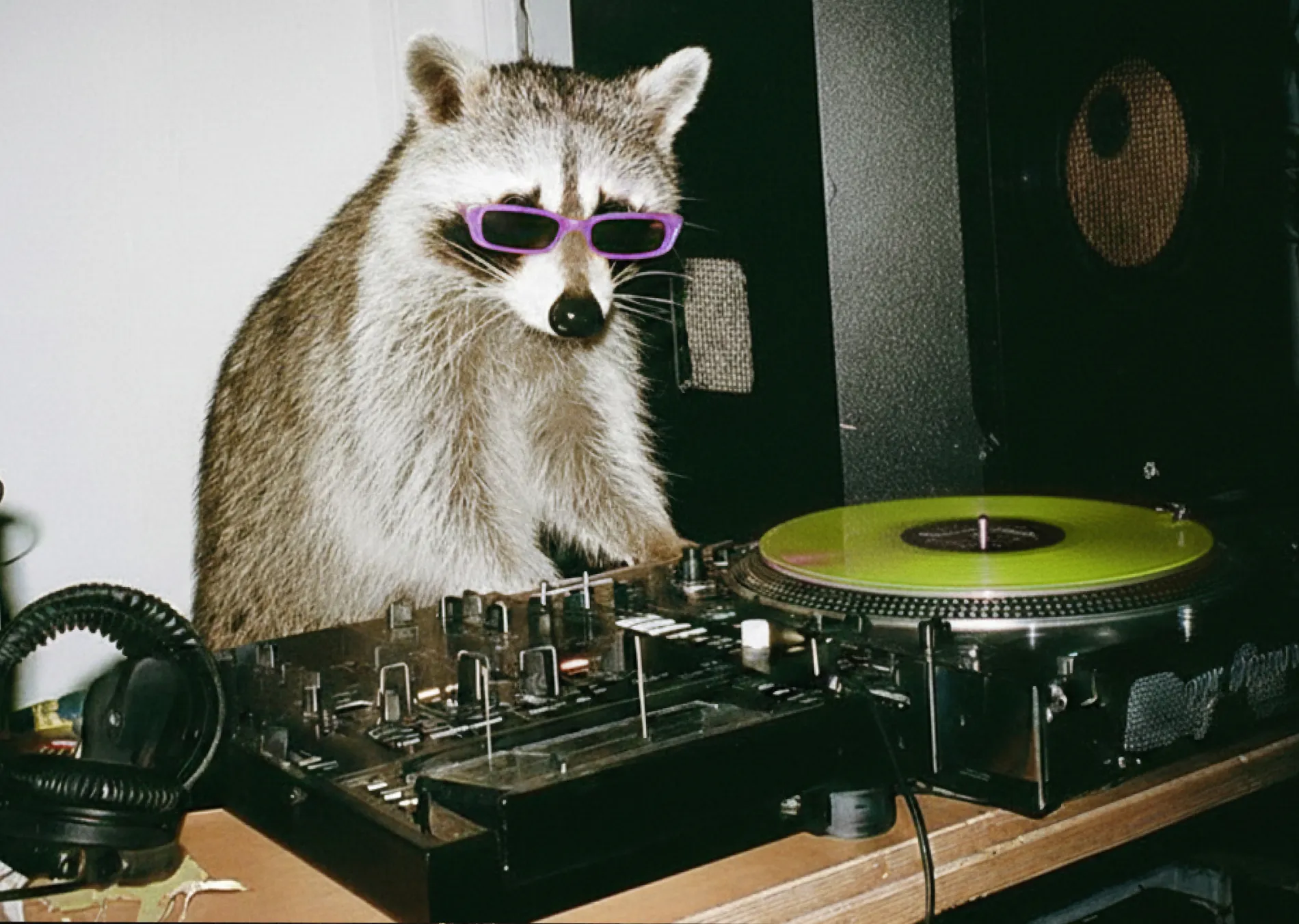 Raccoon wearing sunglasses, DJing with a green vinyl record.