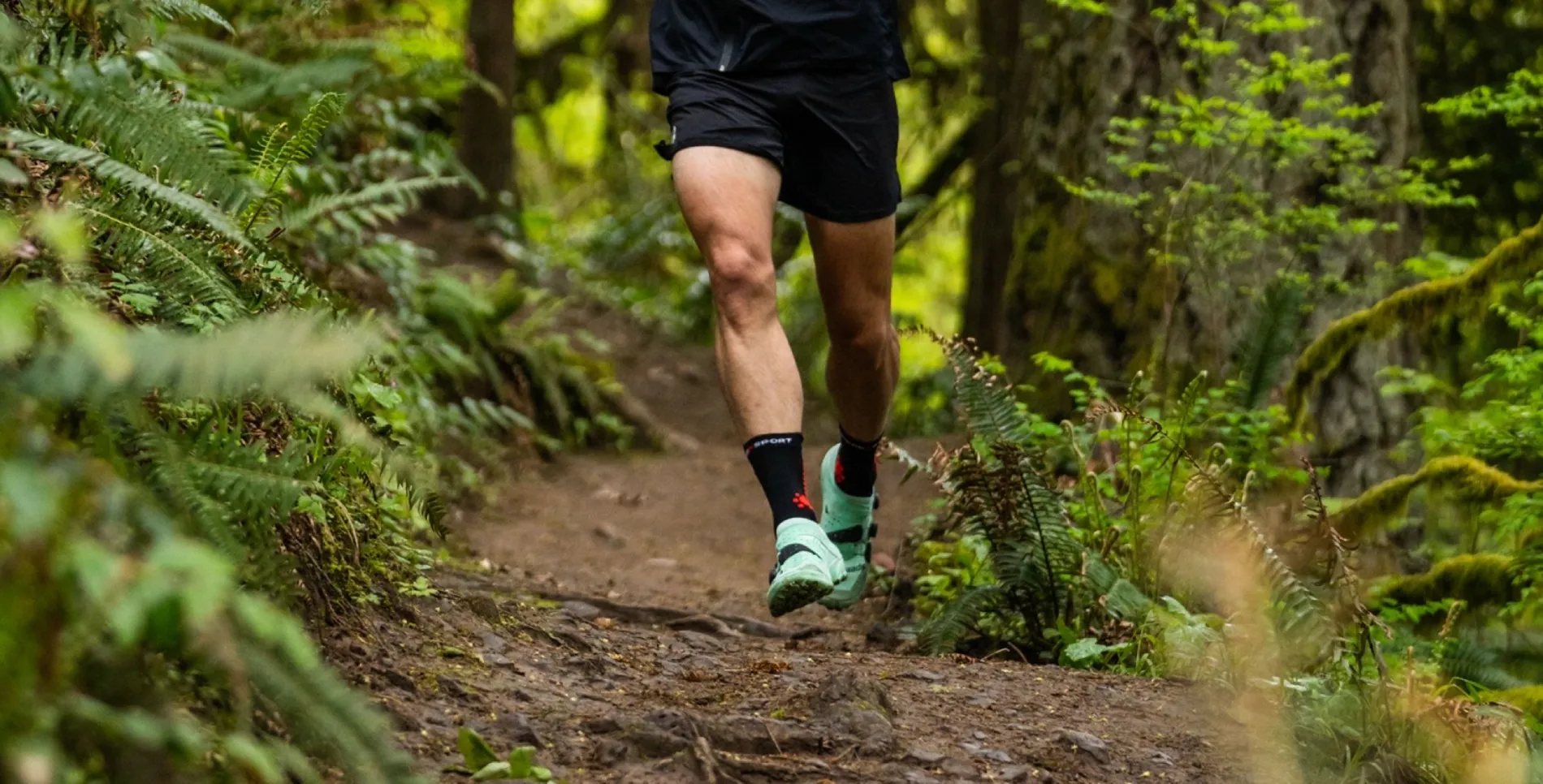 Trail runner in a forest