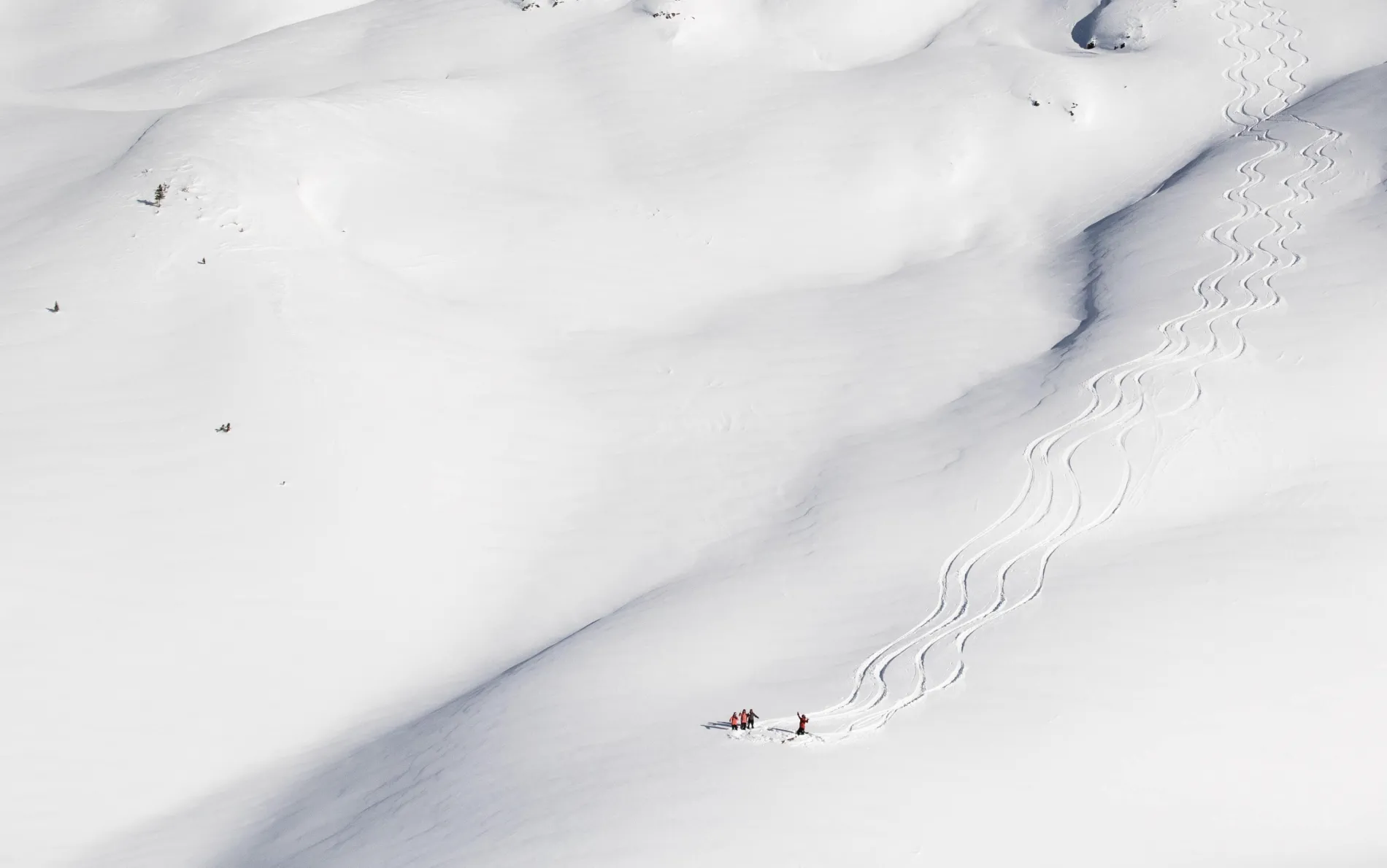 People heli-skiing