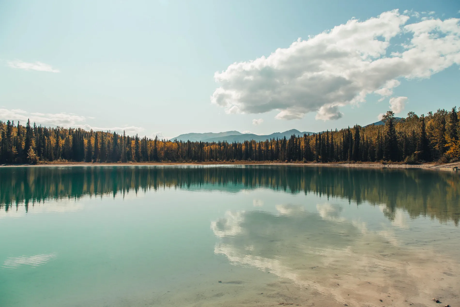 Lake Landscape