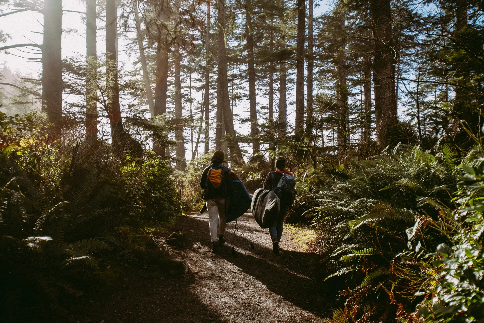 Two people walking on a path in the forest