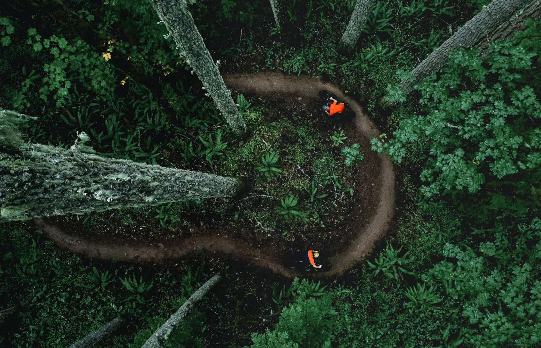 Ariel shot of people biking